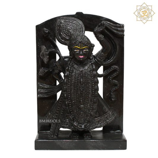 Black Shrinath Ji Statue for Homes and Temples in 12inches