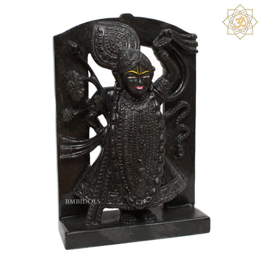 Black Shrinath Ji Statue for Homes and Temples in 12inches